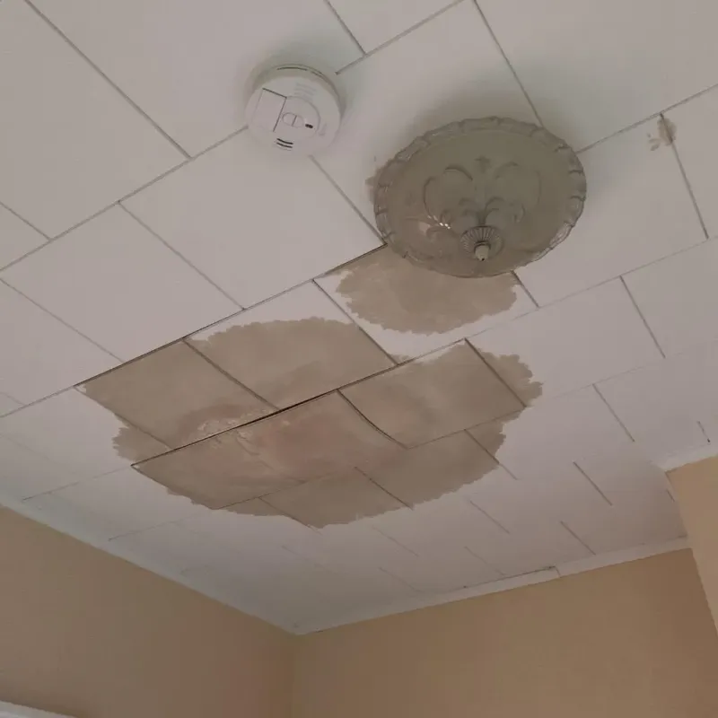 Ceiling Water Damage Repair in Jamesburg, NJ