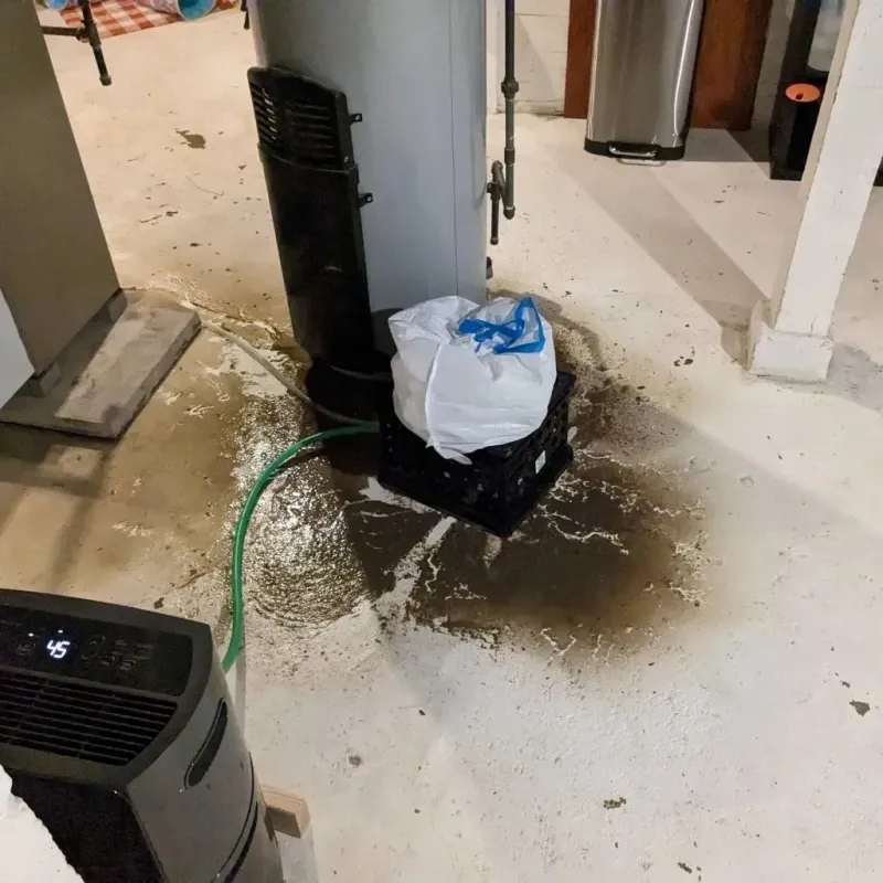 Sewage Backup Cleanup Service in Jamesburg, NJ